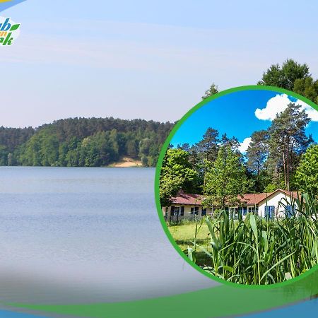 Jagd-Angler-Suite-04-Im-Wald-Am-See Kyritz Ngoại thất bức ảnh