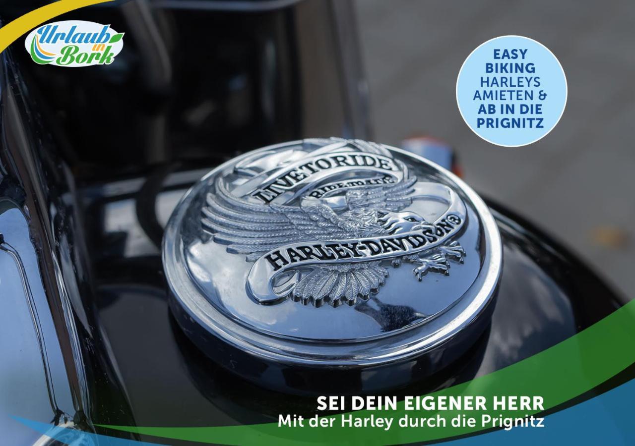 Jagd-Angler-Suite-04-Im-Wald-Am-See Kyritz Ngoại thất bức ảnh
